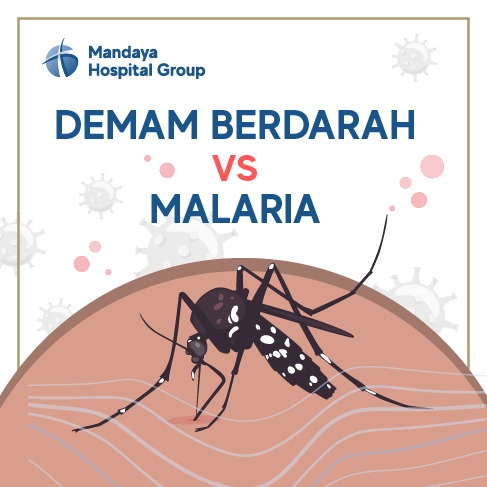 Perbedaan Malaria & Demam Berdarah