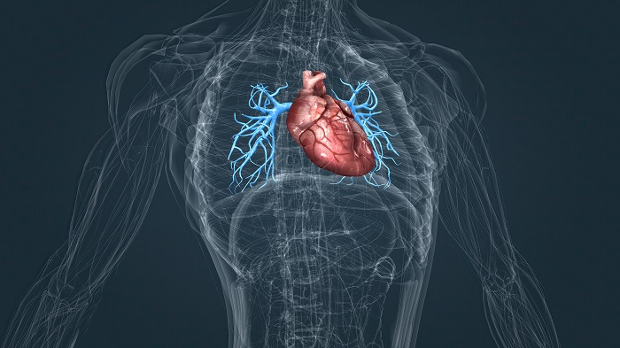 Pusat Jantung Mandaya Royal Puri Tawarkan Ablasi 3D dengan Biaya Terjangkau untuk Atasi Aritmia Jantung Tipe Atrial Fibrilasi