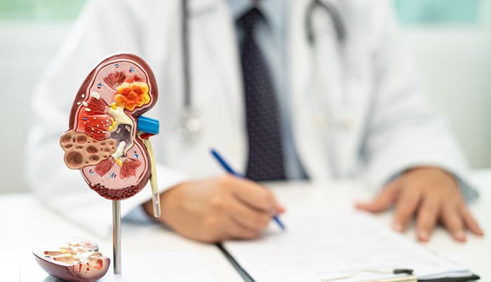 Mengenal Syarat-Syarat Transplantasi Ginjal