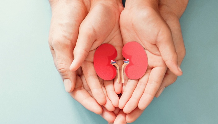 Perbedaan Cuci Darah dan Transplantasi Ginjal