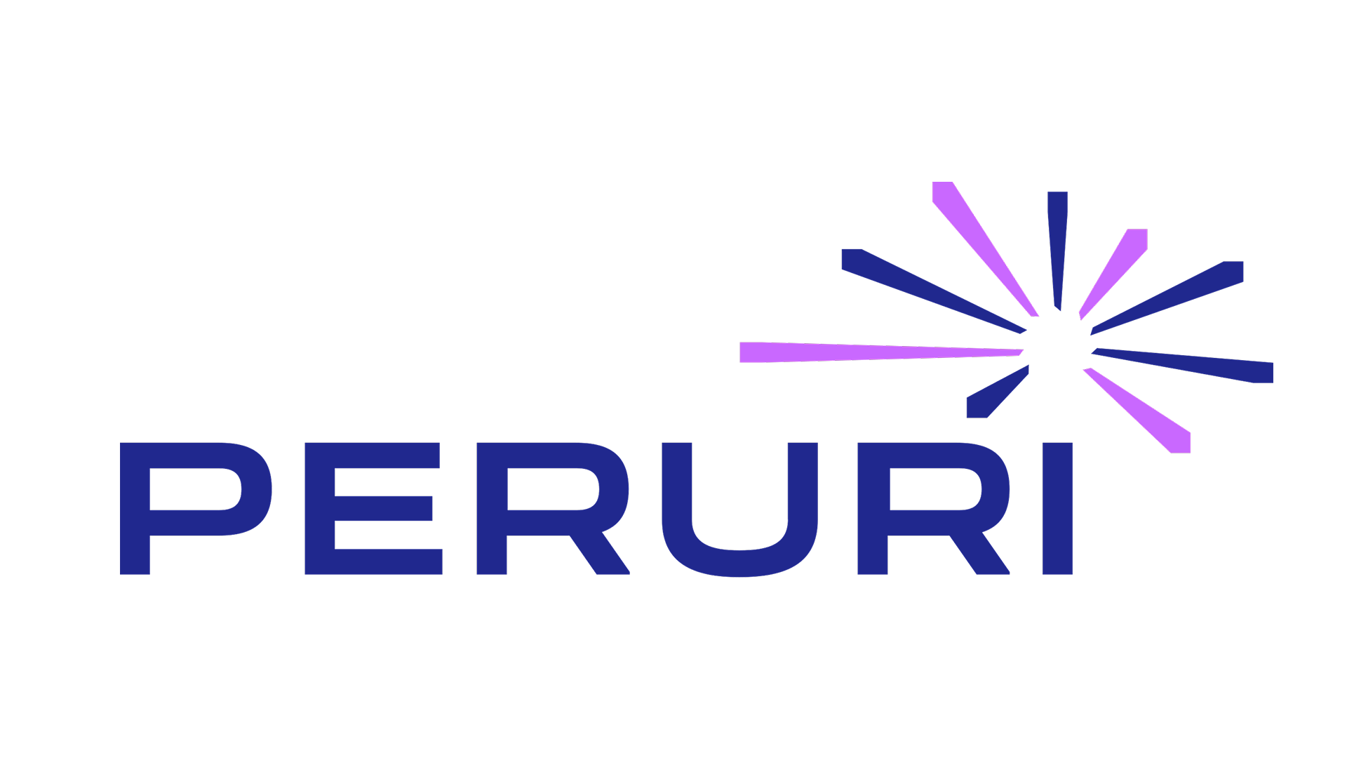 Logo web PERURI