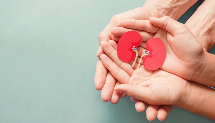 Kidney Donor Criteria Explained by Dr. dr. Maruhum Bonar Sp.PD-KGH, FINASIM at Mandaya Puri