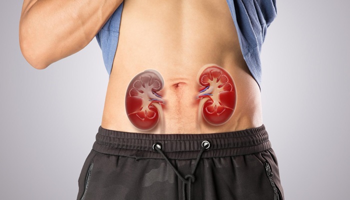 Pusat Pengobatan Masalah Prostat dan Ginjal Berbasis Robotik di Mandaya Royal Hospital Puri